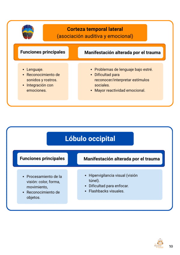 Así responde el cerebro al trauma - Imagen 9