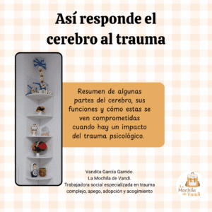 Así responde el cerebro al trauma